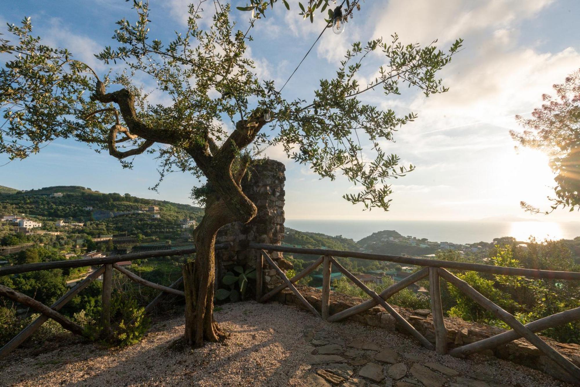 Villa Il Turro Massa Lubrense Εξωτερικό φωτογραφία