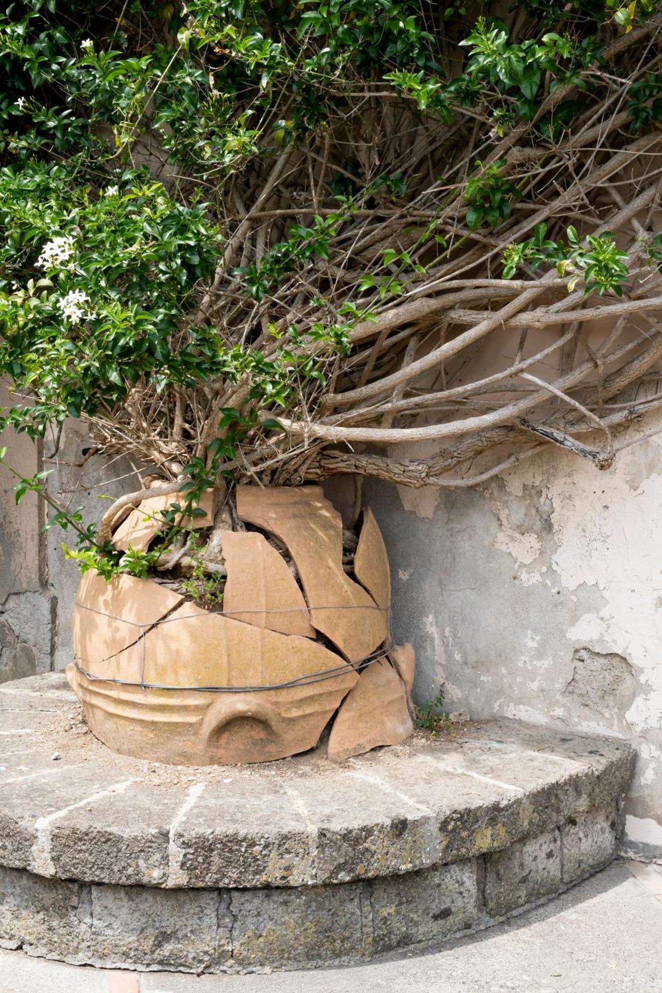 Villa Il Turro Massa Lubrense Εξωτερικό φωτογραφία