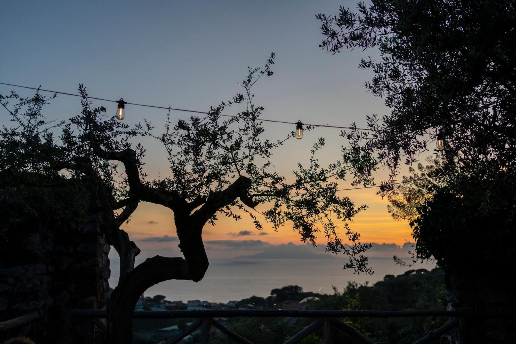 Villa Il Turro Massa Lubrense Εξωτερικό φωτογραφία