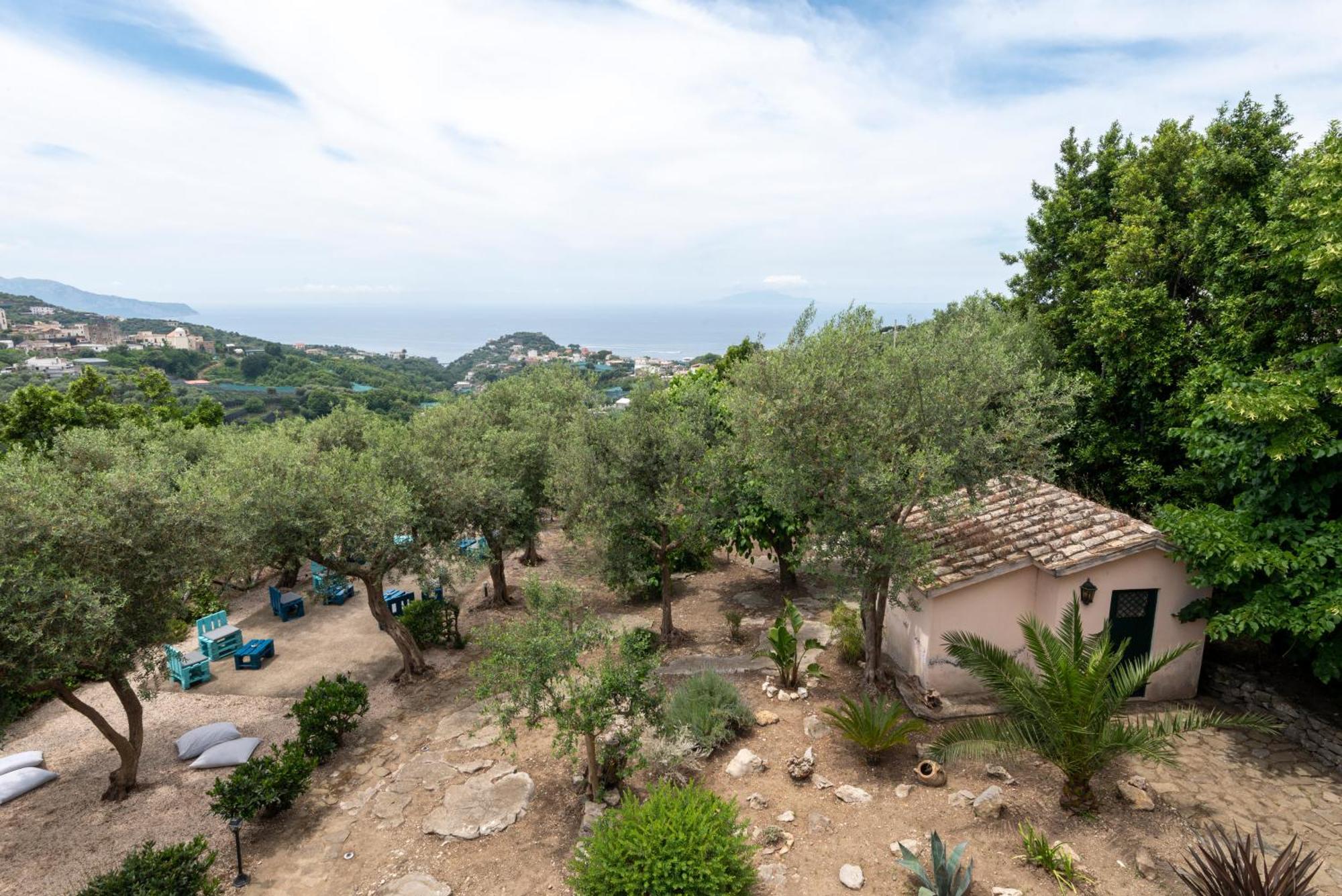 Villa Il Turro Massa Lubrense Εξωτερικό φωτογραφία